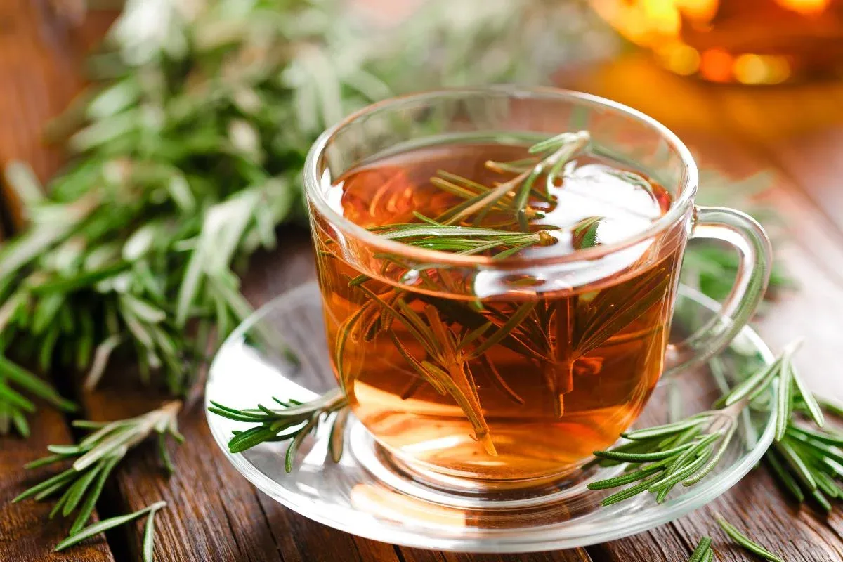 Té de 3 meses